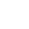 Compass icon